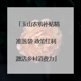 玉山农机补贴精准落袋 政策红利激活乡村消费力