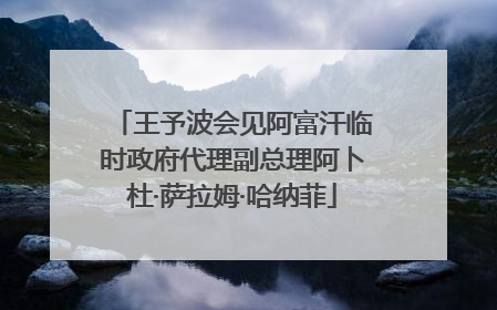 王予波会见阿富汗临时政府代理副总理阿卜杜·萨拉姆·哈纳菲