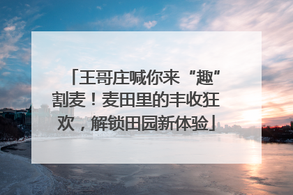 王哥庄喊你来“趣”割麦！麦田里的丰收狂欢，解锁田园新体验