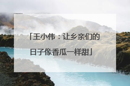 王小伟：让乡亲们的日子像香瓜一样甜