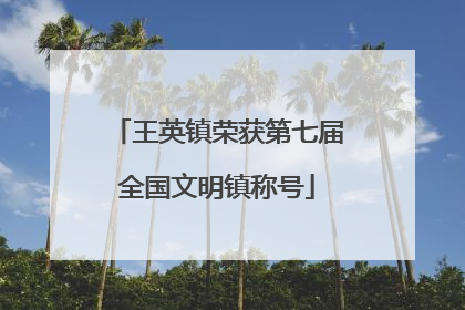 王英镇荣获第七届全国文明镇称号