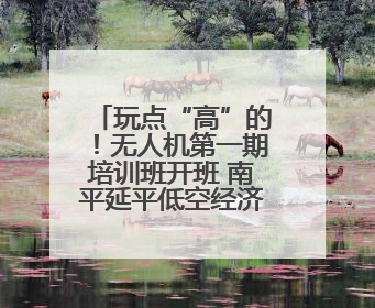 玩点“高”的！无人机第一期培训班开班 南平延平低空经济提速