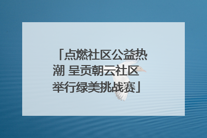 点燃社区公益热潮 呈贡朝云社区举行绿美挑战赛