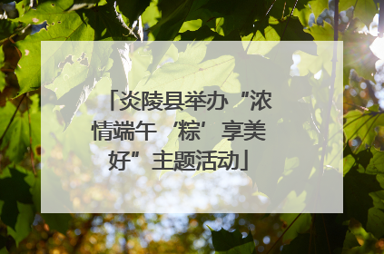 炎陵县举办“浓情端午‘粽’享美好”主题活动