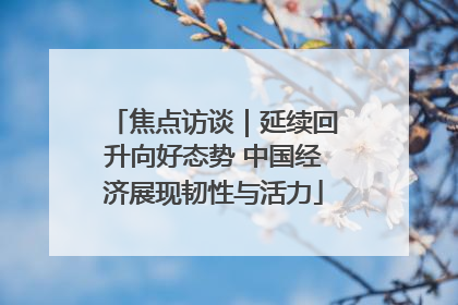 焦点访谈｜延续回升向好态势 中国经济展现韧性与活力