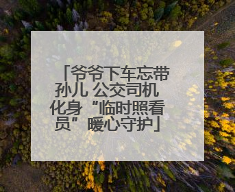 爷爷下车忘带孙儿 公交司机化身“临时照看员”暖心守护