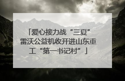 爱心接力战“三夏” 雷沃公益机收开进山东重工“第一书记村”
