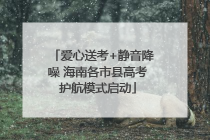爱心送考+静音降噪 海南各市县高考护航模式启动