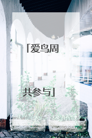 爱鸟周 共参与