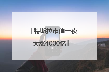 特斯拉市值一夜大涨4000亿