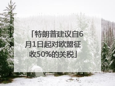 特朗普建议自6月1日起对欧盟征收50%的关税