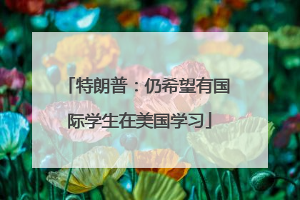 特朗普：仍希望有国际学生在美国学习