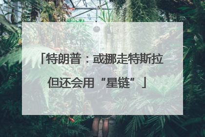 特朗普：或挪走特斯拉 但还会用“星链”