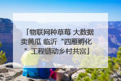 物联网种草莓 大数据卖黄瓜 临沂“四雁孵化”工程链动乡村共富