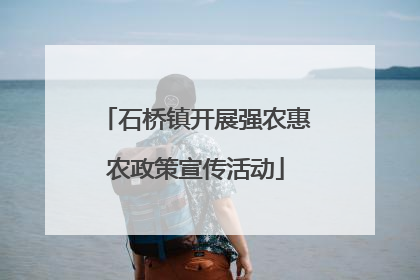 石桥镇开展强农惠农政策宣传活动