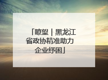 瞭望｜黑龙江省政协精准助力企业纾困