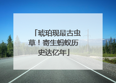 琥珀现最古虫草！寄生蚂蚁历史达亿年