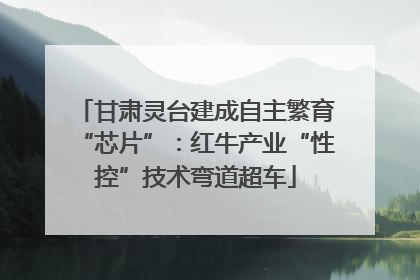 甘肃灵台建成自主繁育“芯片”：红牛产业“性控”技术弯道超车