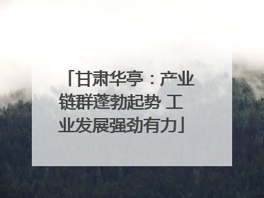 甘肃华亭：产业链群蓬勃起势 工业发展强劲有力