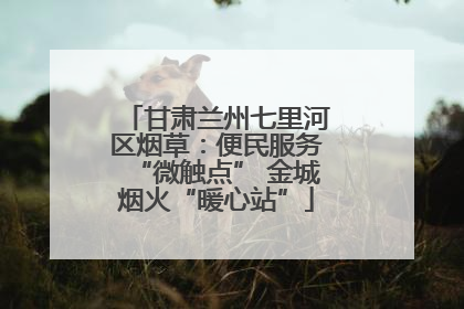 甘肃兰州七里河区烟草：便民服务“微触点” 金城烟火“暖心站”