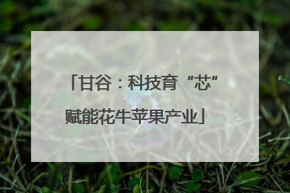 甘谷：科技育“芯”赋能花牛苹果产业