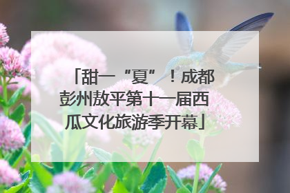 甜一“夏”！成都彭州敖平第十一届西瓜文化旅游季开幕