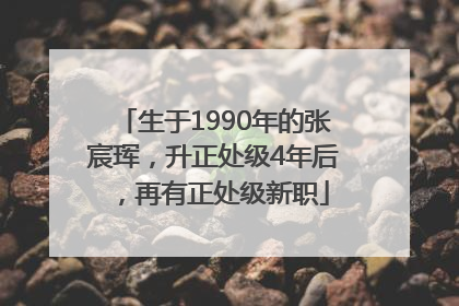 生于1990年的张宸珲，升正处级4年后，再有正处级新职