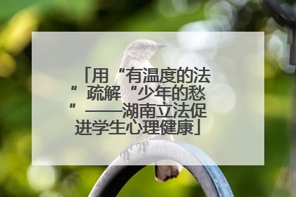 用“有温度的法”疏解“少年的愁”——湖南立法促进学生心理健康