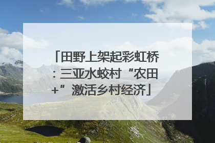 田野上架起彩虹桥：三亚水蛟村“农田+”激活乡村经济