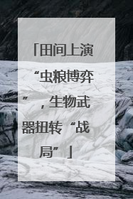 田间上演“虫粮博弈”，生物武器扭转“战局”