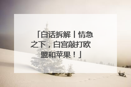 白话拆解丨情急之下，白宫敲打欧盟和苹果！