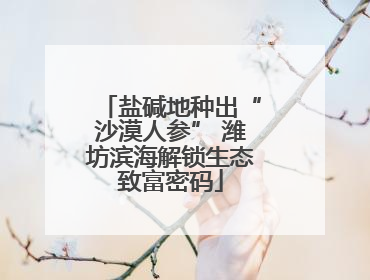 盐碱地种出“沙漠人参” 潍坊滨海解锁生态致富密码