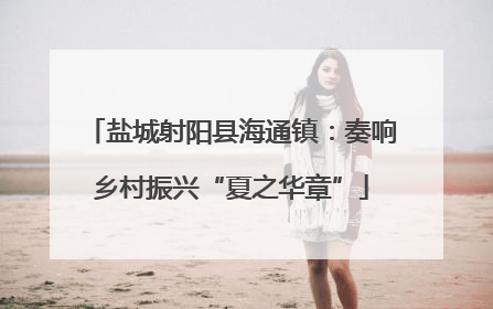 盐城射阳县海通镇：奏响乡村振兴“夏之华章”