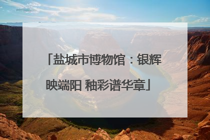 盐城市博物馆：银辉映端阳 釉彩谱华章