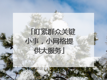 盯紧群众关键小事，小网格提供大服务
