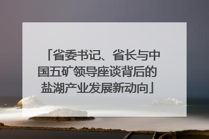 省委书记、省长与中国五矿领导座谈背后的盐湖产业发展新动向