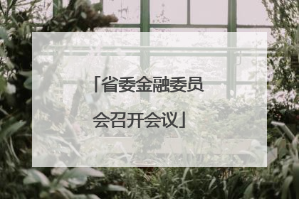 省委金融委员会召开会议