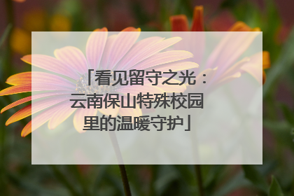 看见留守之光：云南保山特殊校园里的温暖守护