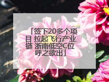 签下20多个项目 拉起飞行产业链 浙南低空C位呼之欲出