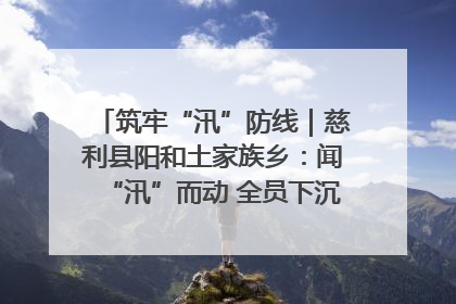 筑牢“汛”防线｜慈利县阳和土家族乡：闻“汛”而动 全员下沉筑牢防汛“安全堤”