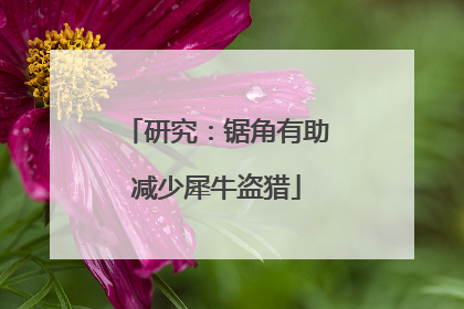 研究：锯角有助减少犀牛盗猎