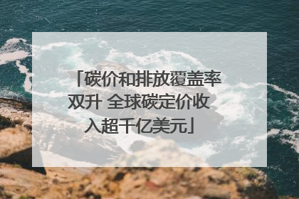 碳价和排放覆盖率双升 全球碳定价收入超千亿美元