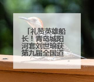 礼赞英雄船长！青岛城阳河套刘世瑜获第九届全国道德模范提名奖