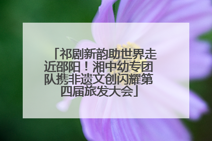 祁剧新韵助世界走近邵阳！湘中幼专团队携非遗文创闪耀第四届旅发大会