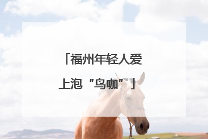 福州年轻人爱上泡“鸟咖”
