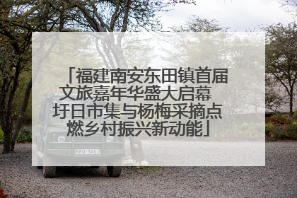 福建南安东田镇首届文旅嘉年华盛大启幕 圩日市集与杨梅采摘点燃乡村振兴新动能