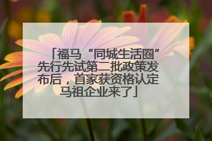 福马“同城生活圈”先行先试第二批政策发布后，首家获资格认定马祖企业来了