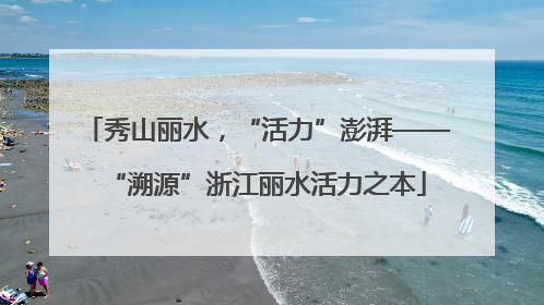秀山丽水，“活力”澎湃——“溯源”浙江丽水活力之本