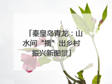 秦皇岛青龙：山水间“播”出乡村振兴新图景