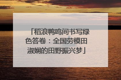 稻浪鸭鸣间书写绿色答卷：全国劳模田淑娴的田野振兴梦